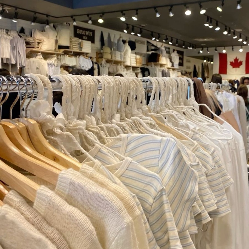 Brandy Melville Hangers bundle